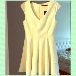 NWT Cute Ivory Skater Dress